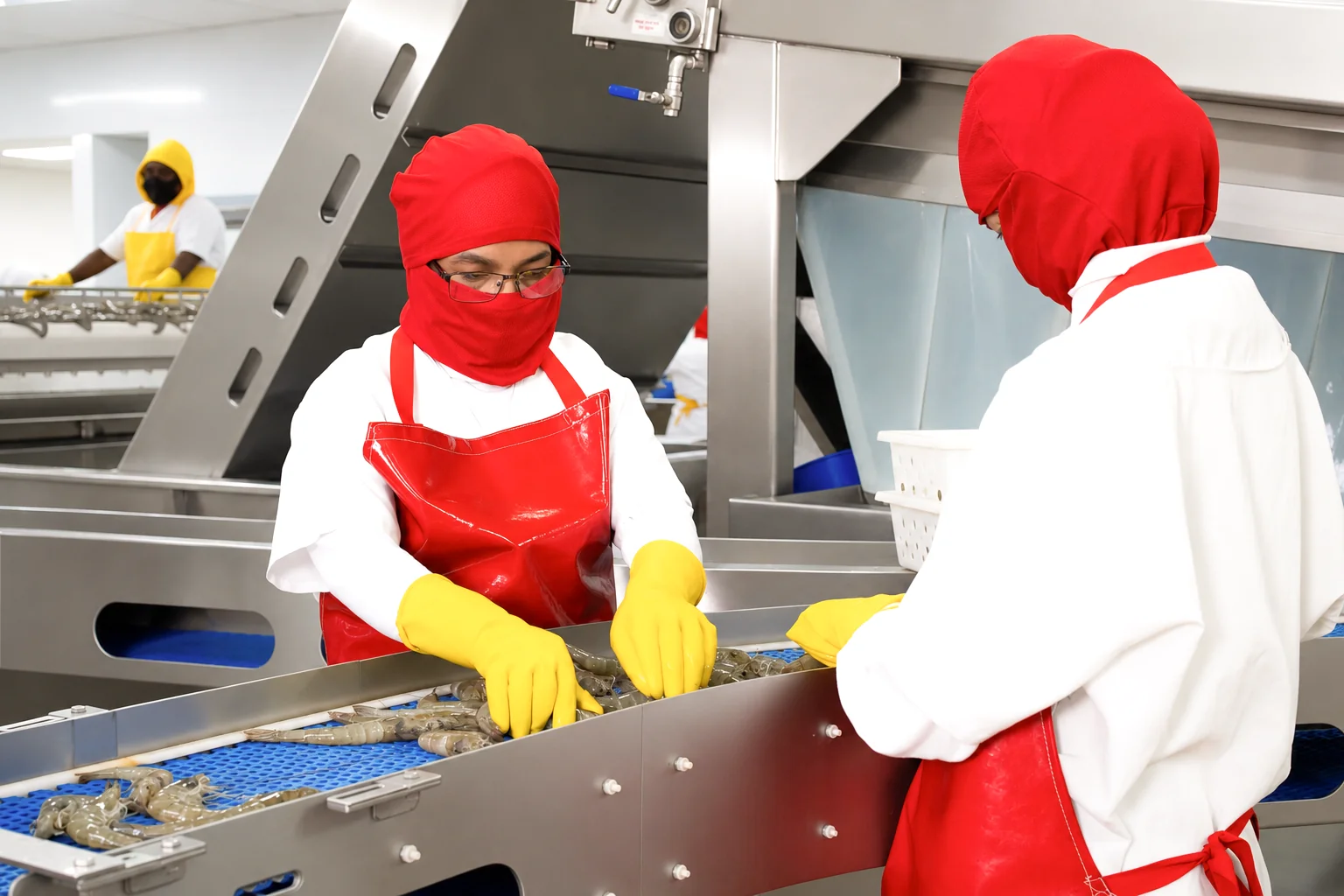 Proriosa staff packing shrimp in a certified processing plant